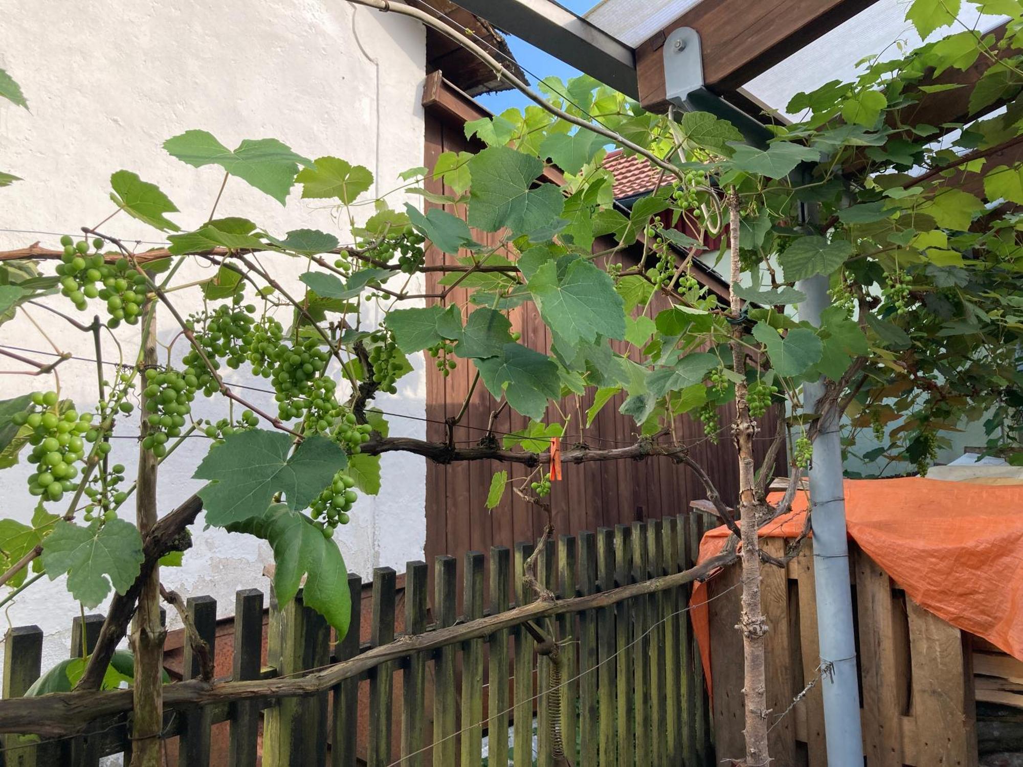 Ferienwohnung Schreiner Wernstein am Inn Kültér fotó
